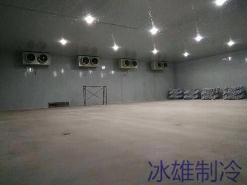 冷庫設(shè)備如何重要，改如何正確的維修呢？